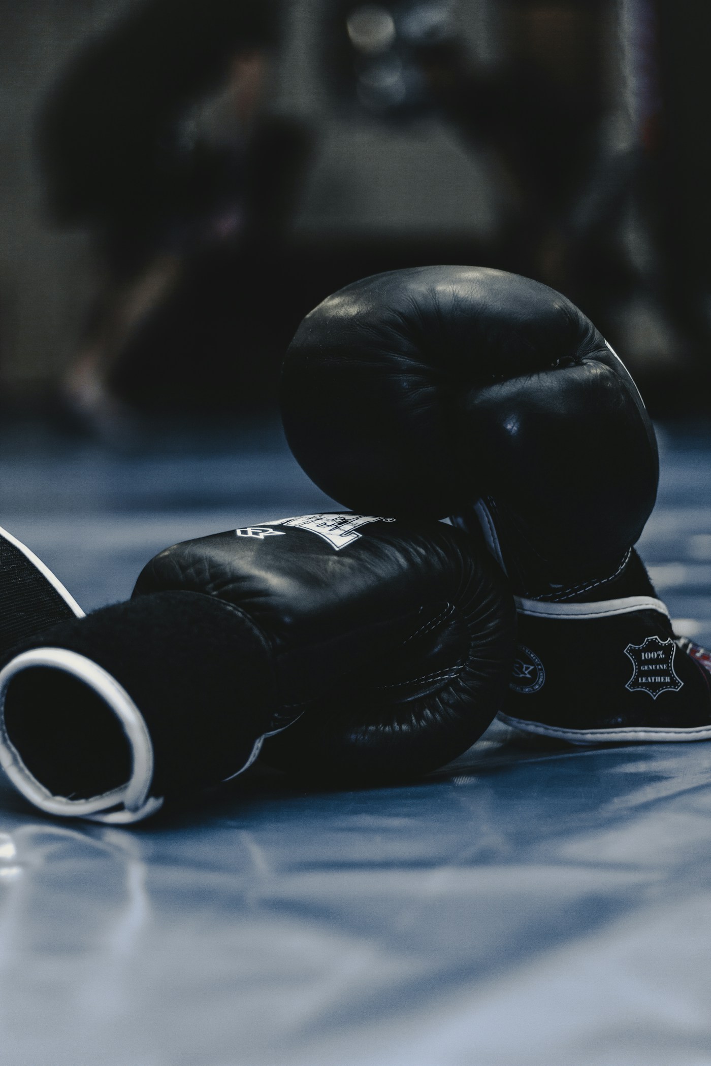 Custom training boxing gloves for private label brands
